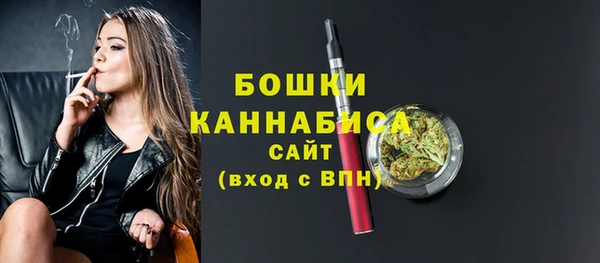 PSILOCYBIN Балахна
