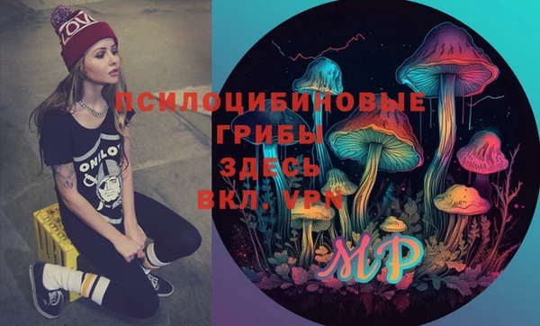 mix Няндома