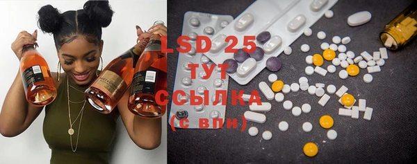 PSILOCYBIN Балахна