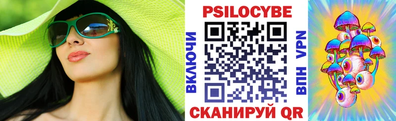 купить наркотик  кракен вход  Псилоцибиновые грибы мицелий  Власиха 
